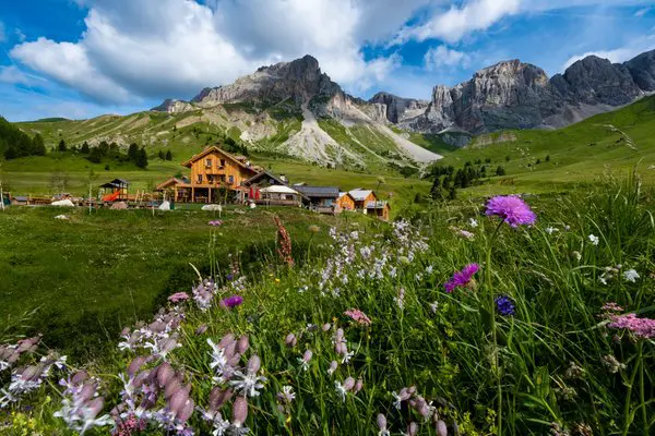 rifugio fuciade in estate con i fiori visto dalla collina