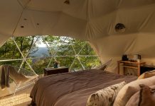 Recensione Gaia’s Spheres: Analisi Dettagliata del Gioco Ecologico 2026 recensione gaia's spheres interno della bubble room