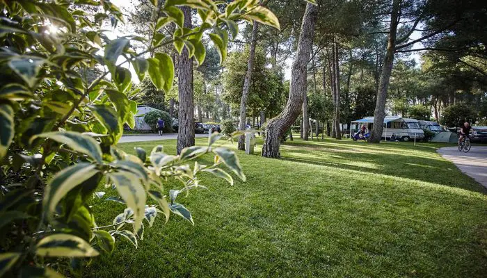 camping dei fiori a cavallino treporti piazzole verdi per camper, tende e caravan