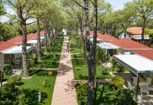 Recensione Camping Enzo Stella Maris: Guida per la tua vacanza 2026 recensione camping enzo stella maris case mobili