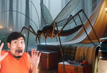 Come Allontanare Le Zanzare In Campeggio: 8 Consigli Efficaci Per Una Vacanza Serena come allontanare le zanzare, persona che ha paura di una zanzara gigante in un campeggio