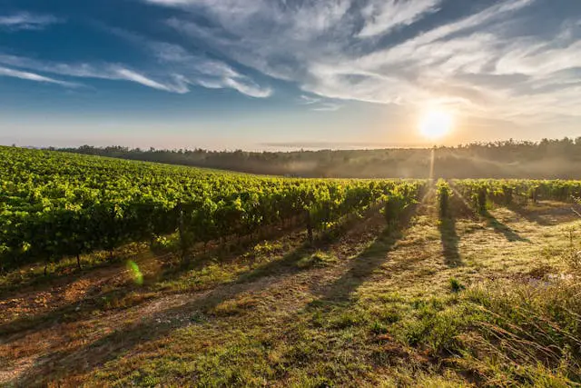 tenuta a figline valdarno toscana