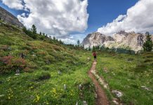 Vacanze sulle Dolomiti 2025: Guida alle Attività Imperdibili All’Aria Aperta vacanze sulle dolomiti prato verde con montagne sullo sfondo