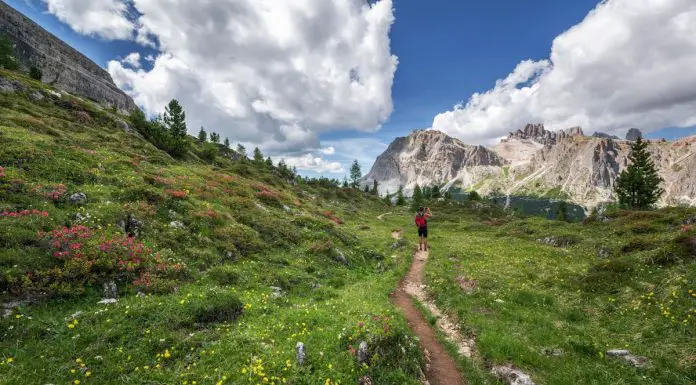 Vacanze sulle Dolomiti 2025: Guida alle Attività Imperdibili All’Aria Aperta vacanze sulle dolomiti prato verde con montagne sullo sfondo