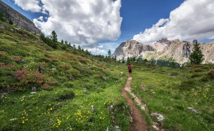 vacanze sulle dolomiti prato verde con montagne sullo sfondo