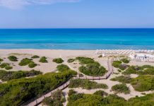 Recensione Camping Riva di Ugento: Esperienze e Consigli Per Le Tue Vacanze In Puglia recensione camping riva di ugento, vista pineta e mare dall'alto