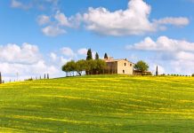 5 Migliori Agriturismi per Famiglie: Vivi Al Meglio  le Vacanze con Bambini uno dei migliori agriturismi per famiglie immerso in una verde collina toscana